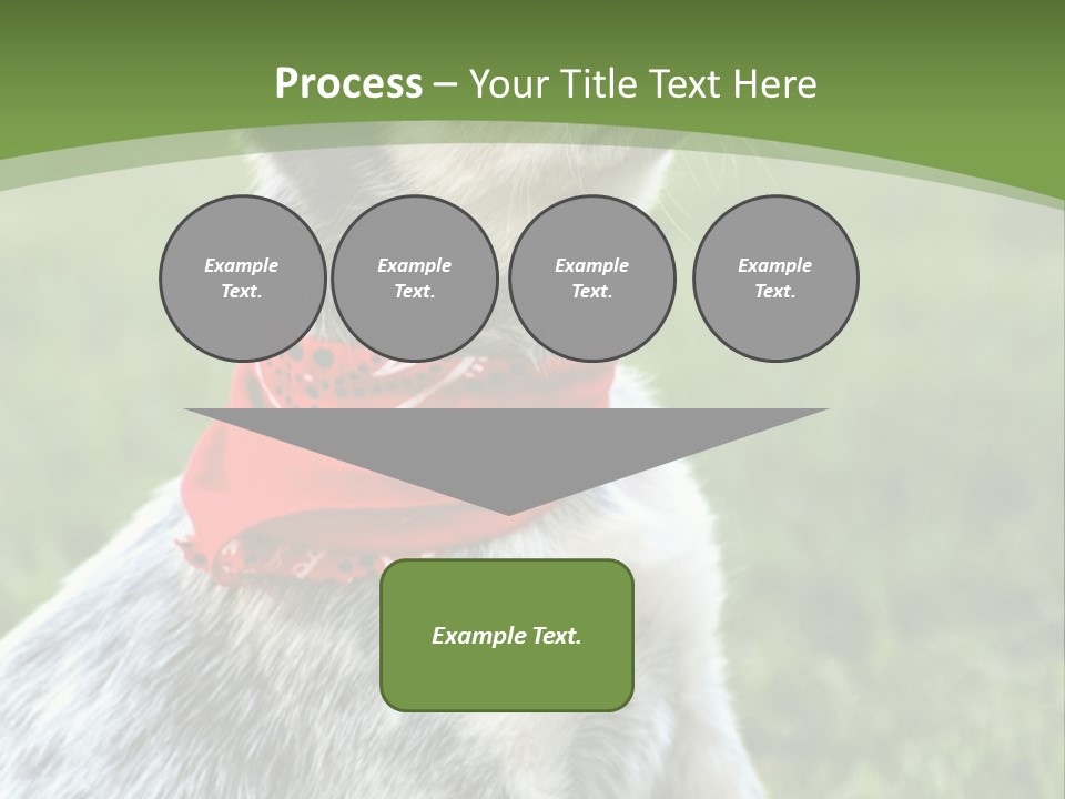 A Small Dog Wearing A Red Bandana Is Sitting In The Grass PowerPoint Template
