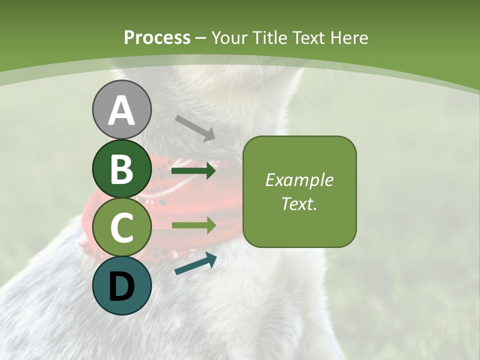 A Small Dog Wearing A Red Bandana Is Sitting In The Grass PowerPoint Template