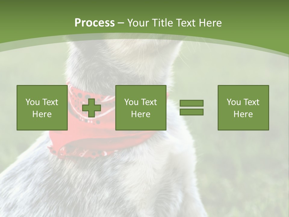 A Small Dog Wearing A Red Bandana Is Sitting In The Grass PowerPoint Template