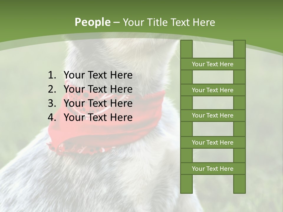 A Small Dog Wearing A Red Bandana Is Sitting In The Grass PowerPoint Template