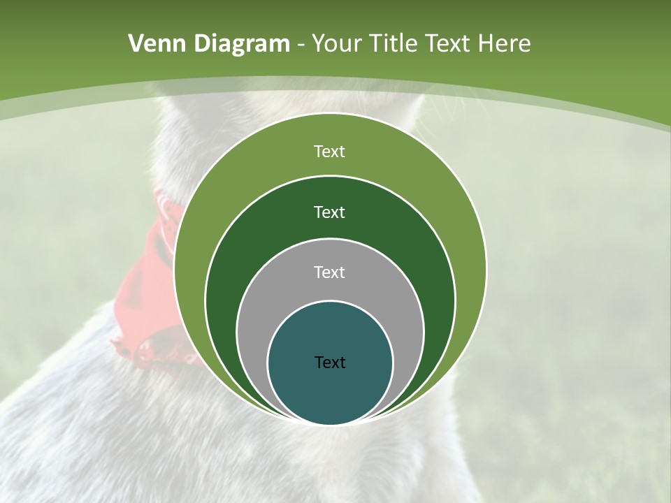A Small Dog Wearing A Red Bandana Is Sitting In The Grass PowerPoint Template