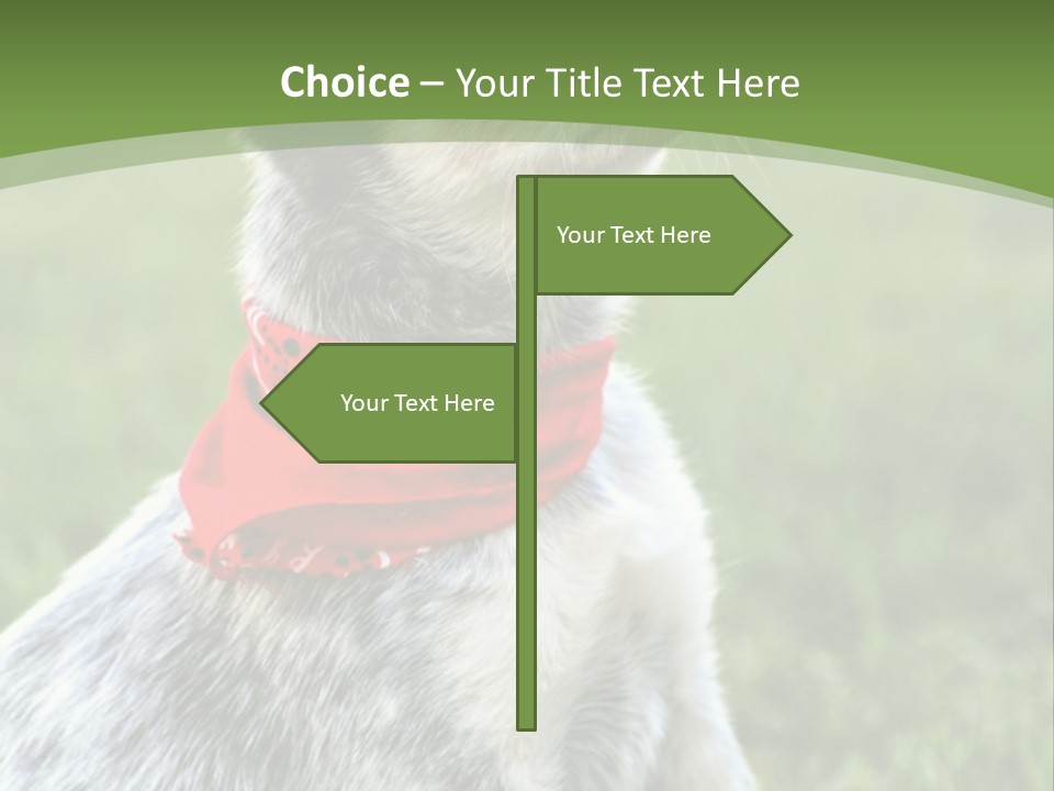 A Small Dog Wearing A Red Bandana Is Sitting In The Grass PowerPoint Template