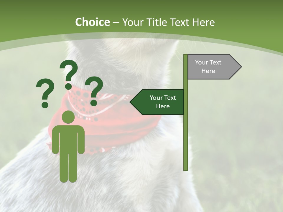 A Small Dog Wearing A Red Bandana Is Sitting In The Grass PowerPoint Template