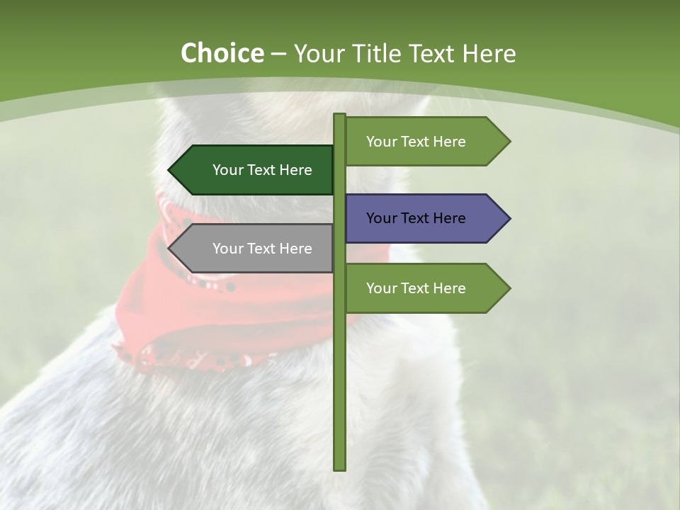 A Small Dog Wearing A Red Bandana Is Sitting In The Grass PowerPoint Template