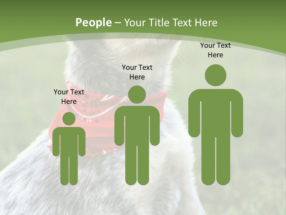 A Small Dog Wearing A Red Bandana Is Sitting In The Grass PowerPoint Template