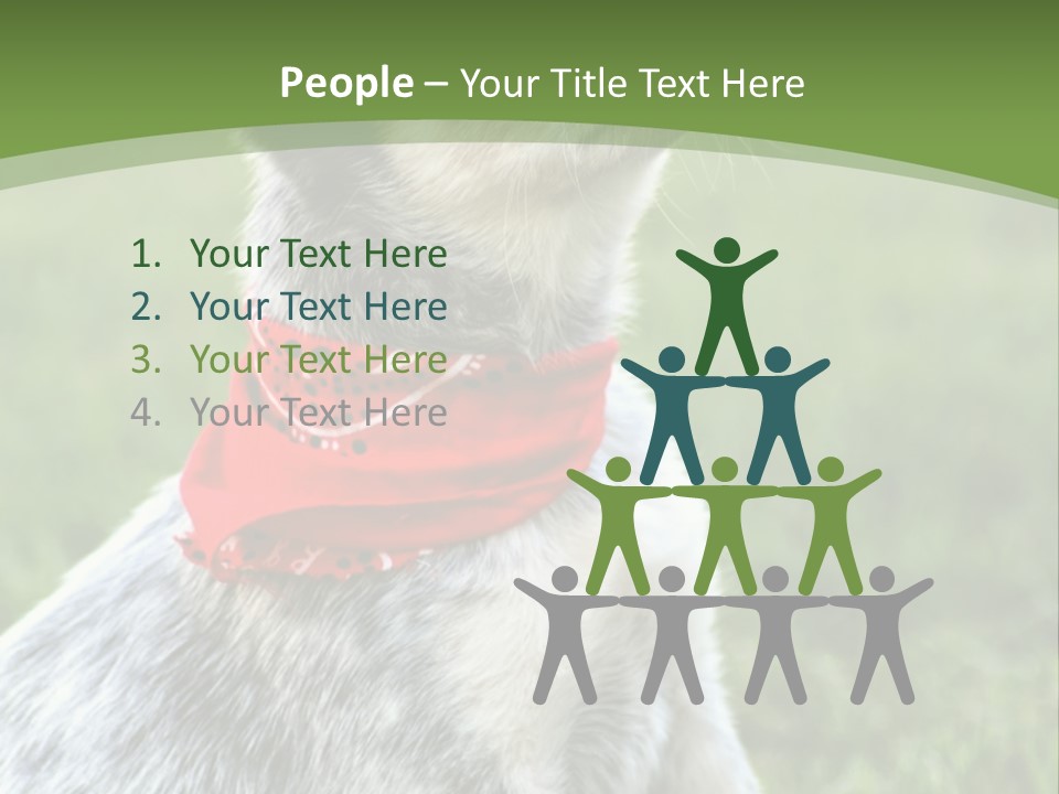 A Small Dog Wearing A Red Bandana Is Sitting In The Grass PowerPoint Template
