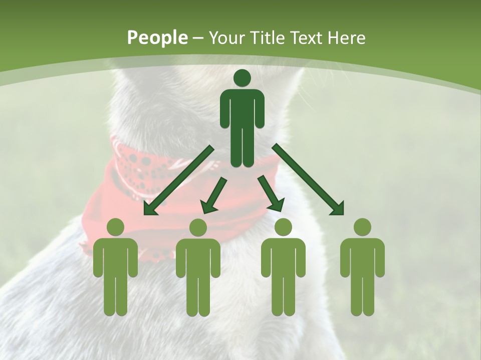 A Small Dog Wearing A Red Bandana Is Sitting In The Grass PowerPoint Template