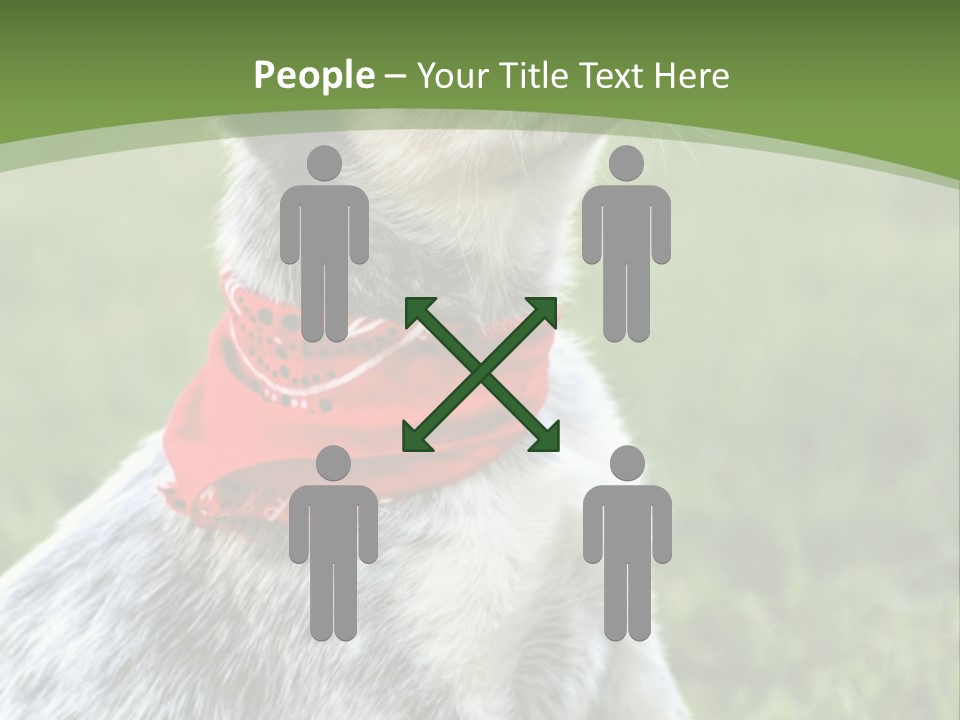 A Small Dog Wearing A Red Bandana Is Sitting In The Grass PowerPoint Template