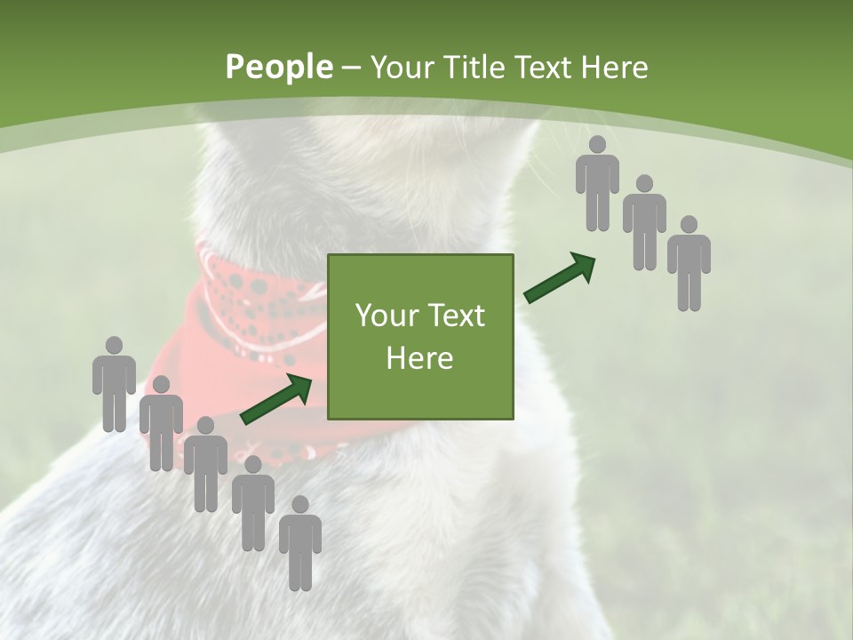 A Small Dog Wearing A Red Bandana Is Sitting In The Grass PowerPoint Template