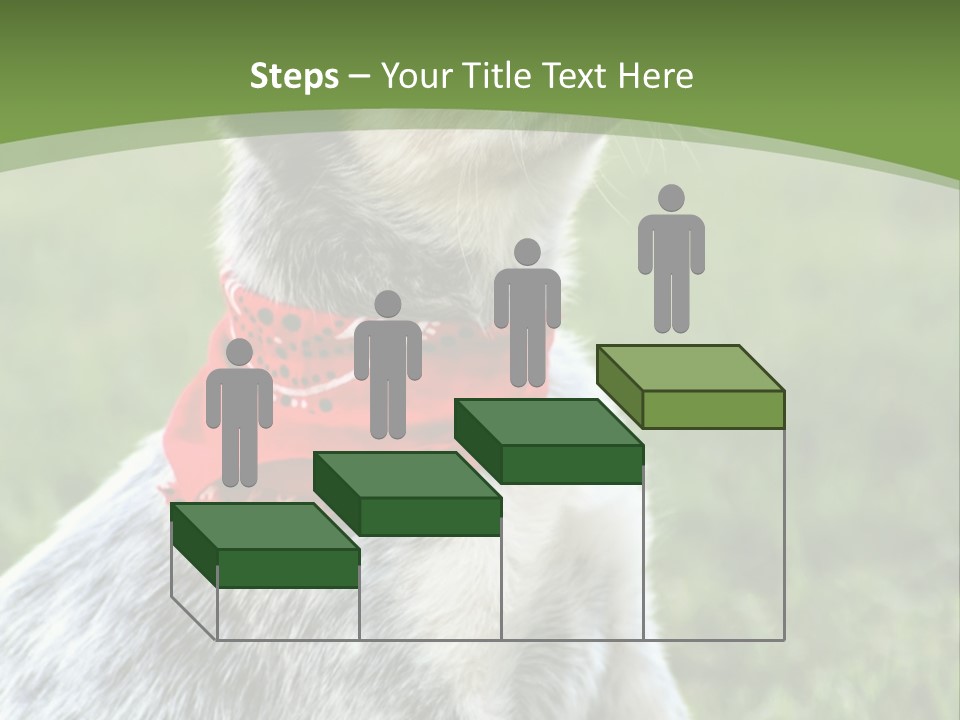 A Small Dog Wearing A Red Bandana Is Sitting In The Grass PowerPoint Template