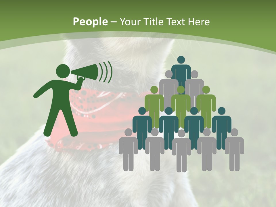 A Small Dog Wearing A Red Bandana Is Sitting In The Grass PowerPoint Template