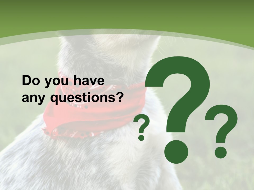 A Small Dog Wearing A Red Bandana Is Sitting In The Grass PowerPoint Template