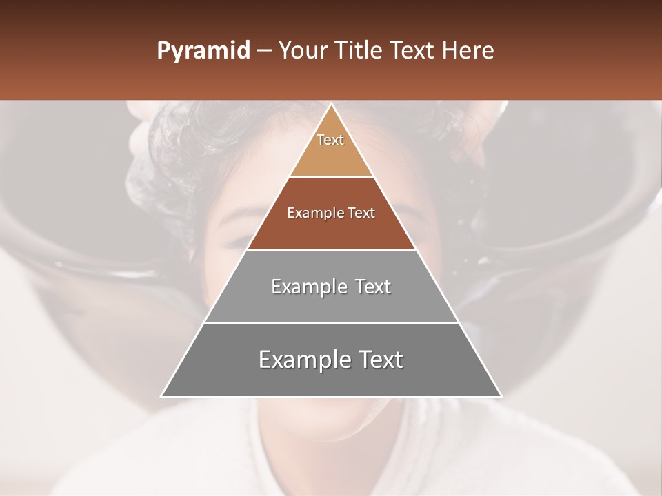 A Woman Getting Her Hair Styled By A Professional Hair Stylist PowerPoint Template