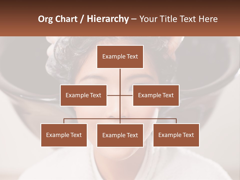 A Woman Getting Her Hair Styled By A Professional Hair Stylist PowerPoint Template