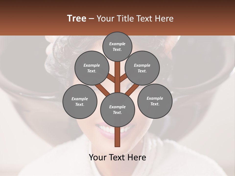 A Woman Getting Her Hair Styled By A Professional Hair Stylist PowerPoint Template