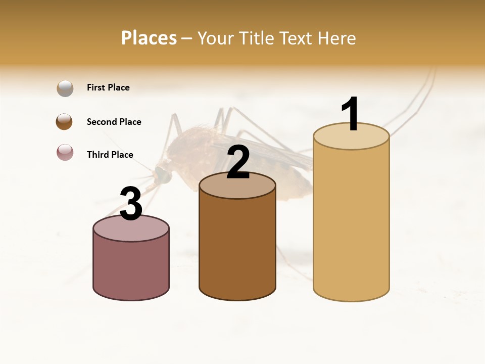 A Mosquito On A White Surface With The Words Name Of Presentation PowerPoint Template