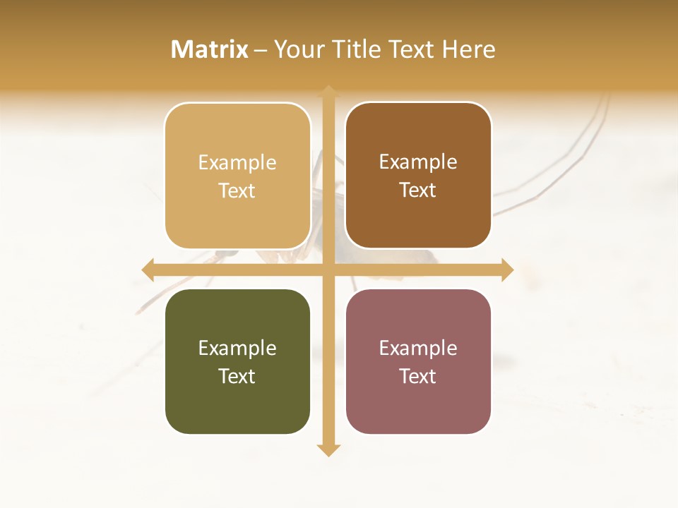 A Mosquito On A White Surface With The Words Name Of Presentation PowerPoint Template