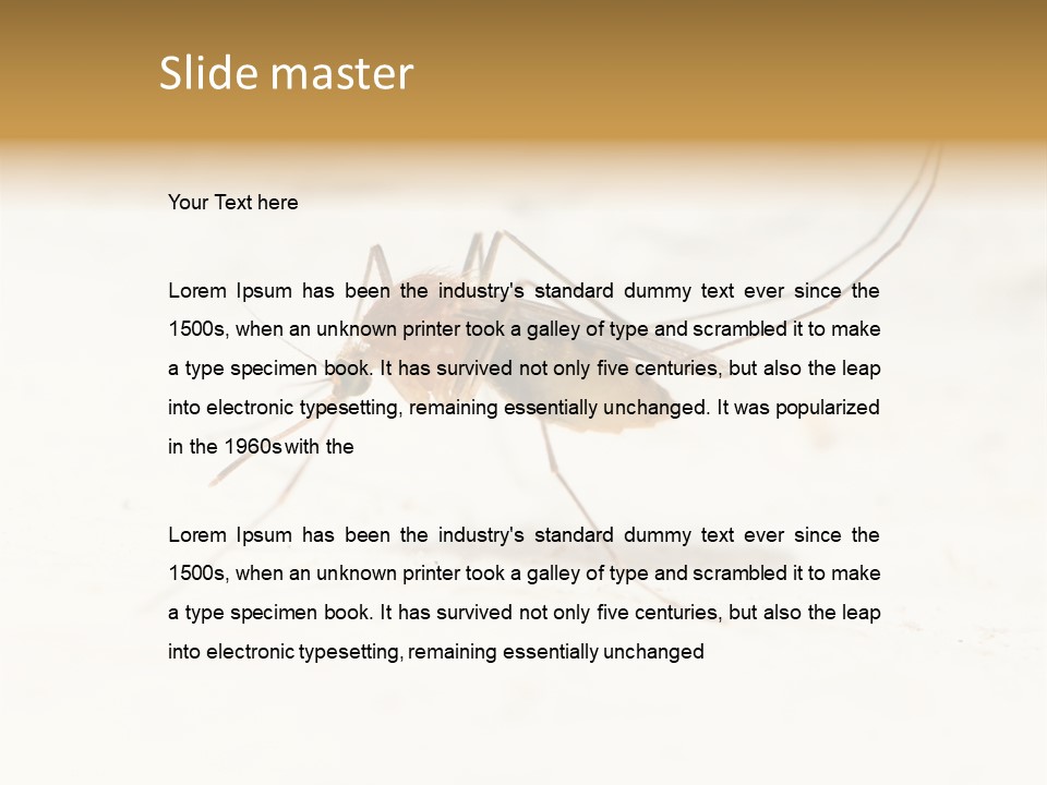 A Mosquito On A White Surface With The Words Name Of Presentation PowerPoint Template