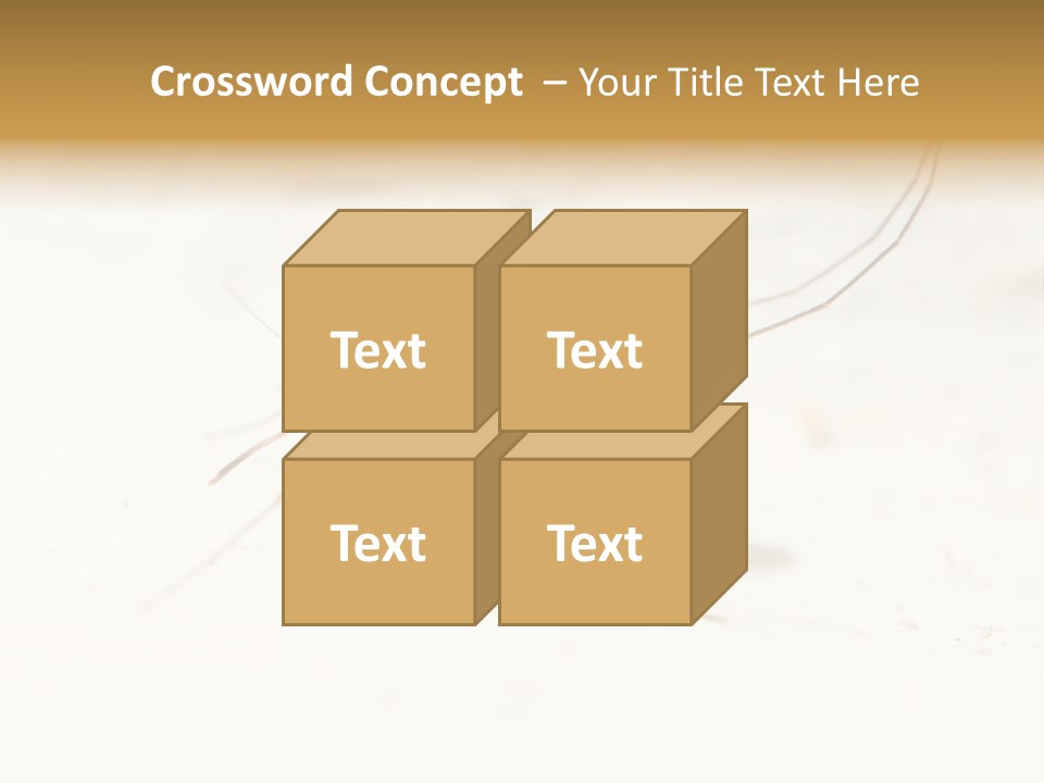 A Mosquito On A White Surface With The Words Name Of Presentation PowerPoint Template