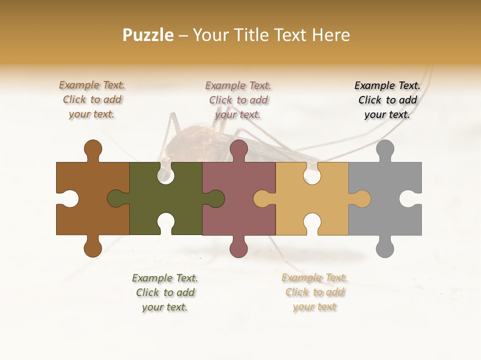 A Mosquito On A White Surface With The Words Name Of Presentation PowerPoint Template