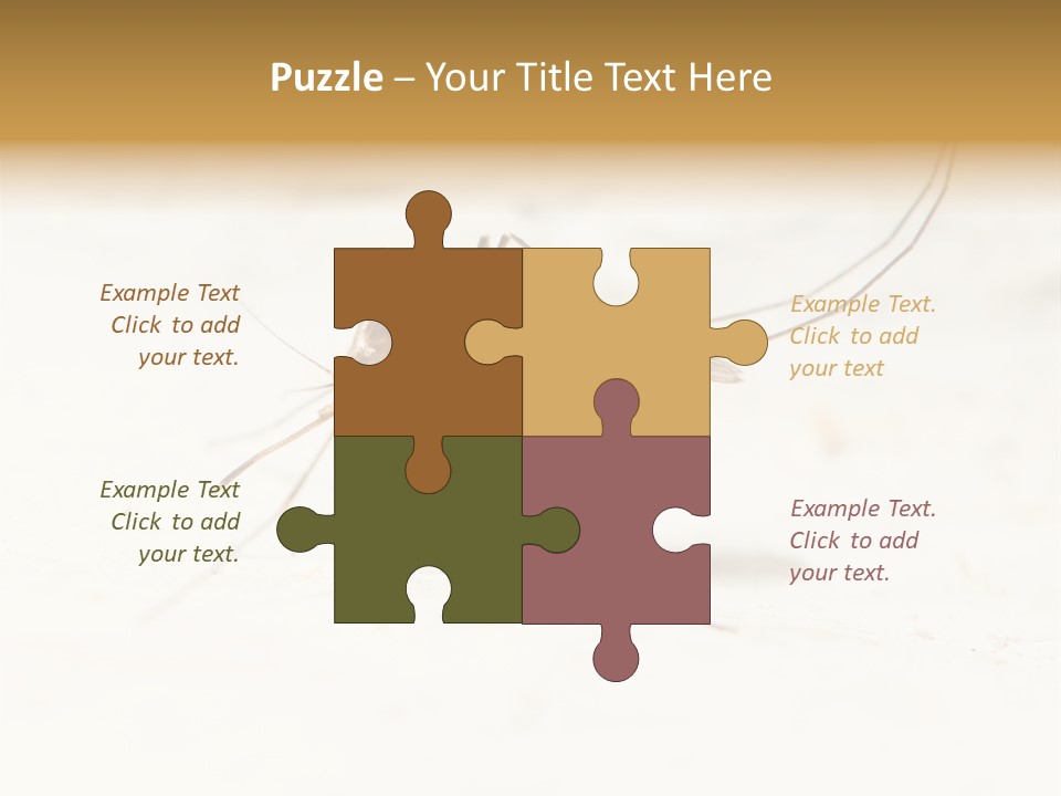 A Mosquito On A White Surface With The Words Name Of Presentation PowerPoint Template