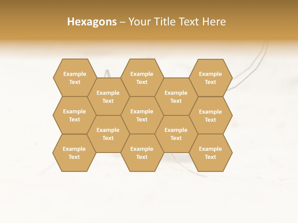 A Mosquito On A White Surface With The Words Name Of Presentation PowerPoint Template