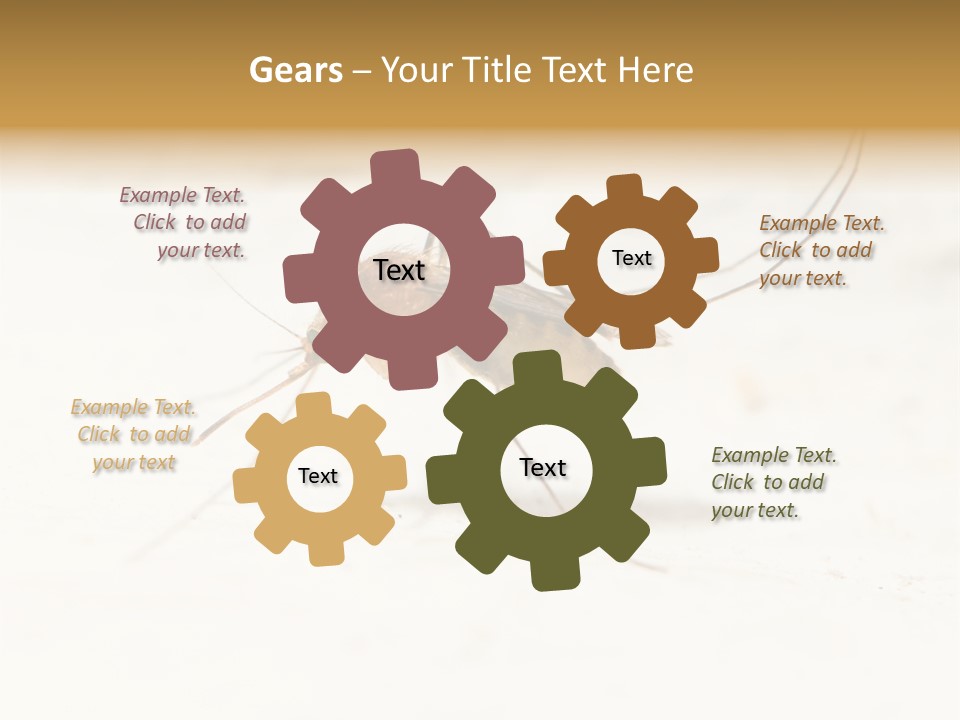 A Mosquito On A White Surface With The Words Name Of Presentation PowerPoint Template