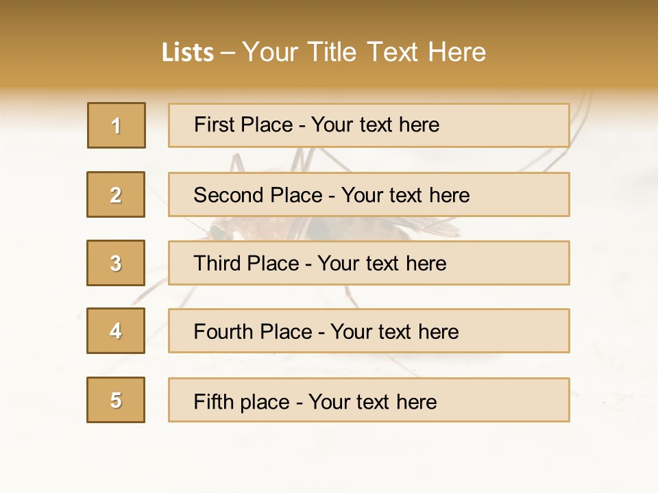 A Mosquito On A White Surface With The Words Name Of Presentation PowerPoint Template