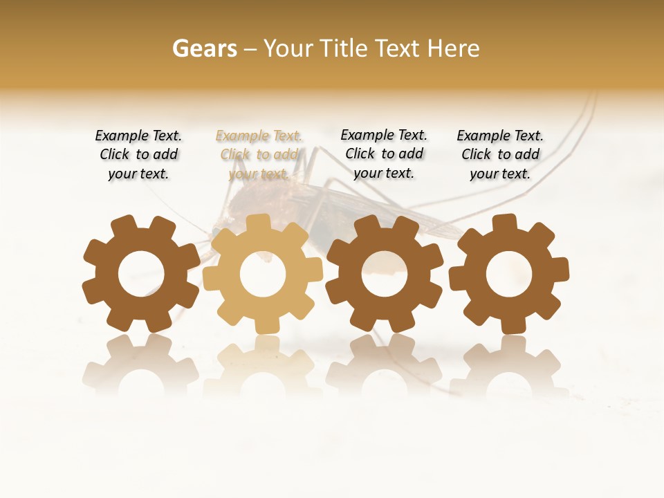 A Mosquito On A White Surface With The Words Name Of Presentation PowerPoint Template