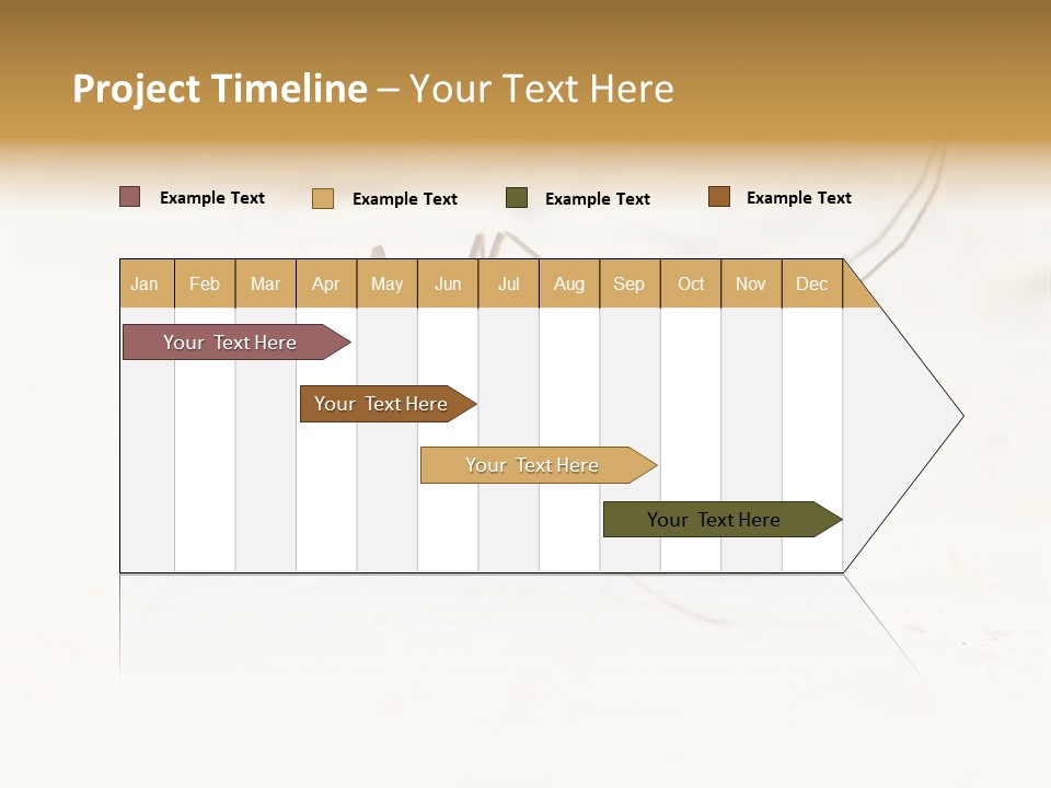 A Mosquito On A White Surface With The Words Name Of Presentation PowerPoint Template