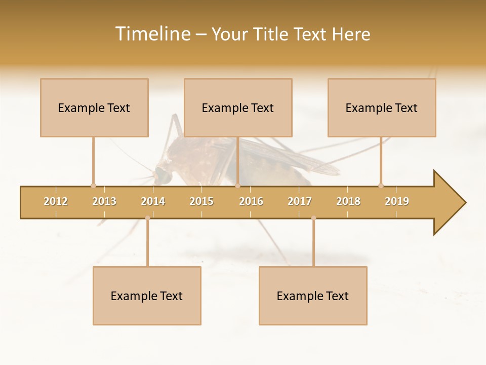 A Mosquito On A White Surface With The Words Name Of Presentation PowerPoint Template
