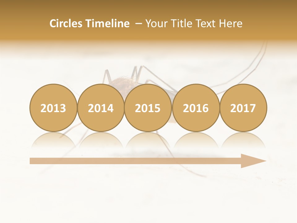 A Mosquito On A White Surface With The Words Name Of Presentation PowerPoint Template