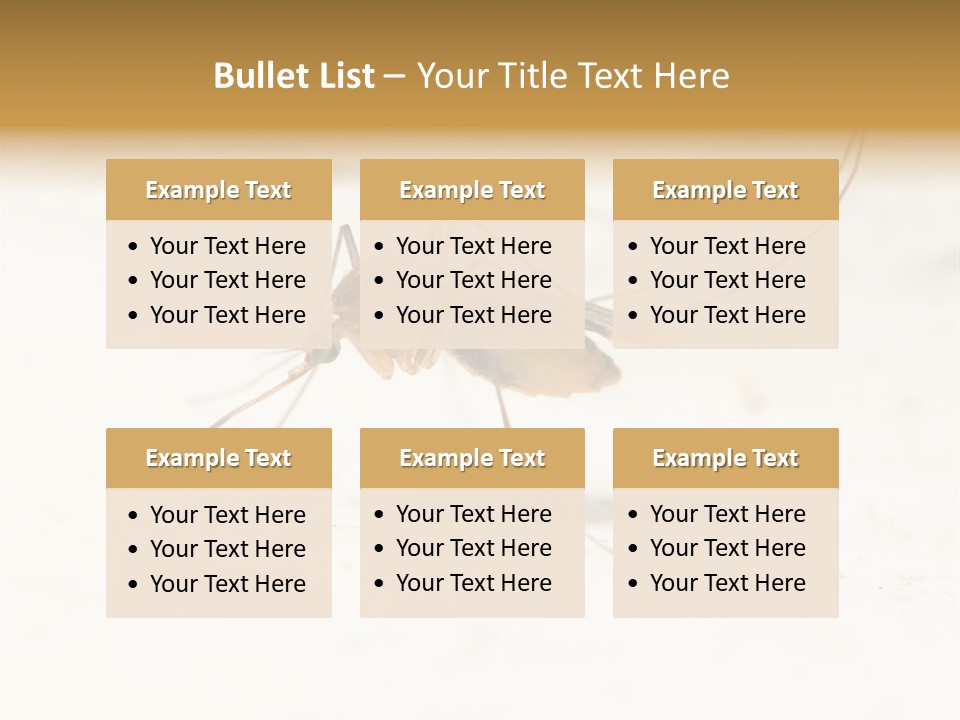 A Mosquito On A White Surface With The Words Name Of Presentation PowerPoint Template