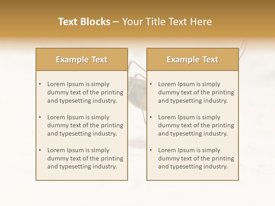 A Mosquito On A White Surface With The Words Name Of Presentation PowerPoint Template
