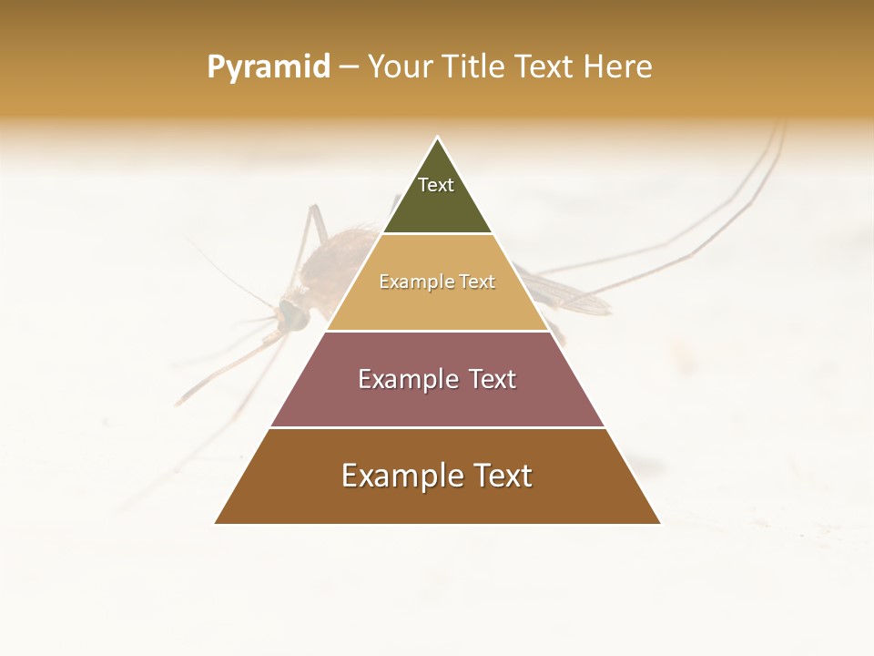 A Mosquito On A White Surface With The Words Name Of Presentation PowerPoint Template