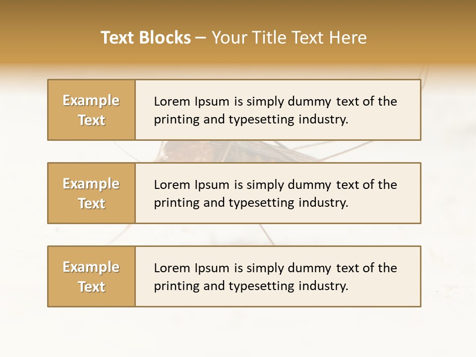 A Mosquito On A White Surface With The Words Name Of Presentation PowerPoint Template