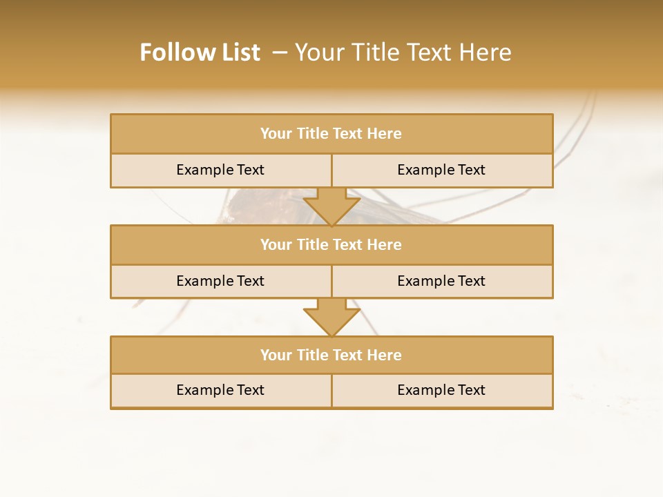 A Mosquito On A White Surface With The Words Name Of Presentation PowerPoint Template