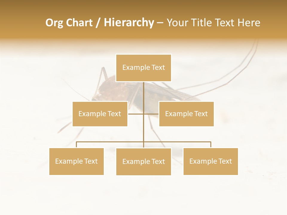 A Mosquito On A White Surface With The Words Name Of Presentation PowerPoint Template