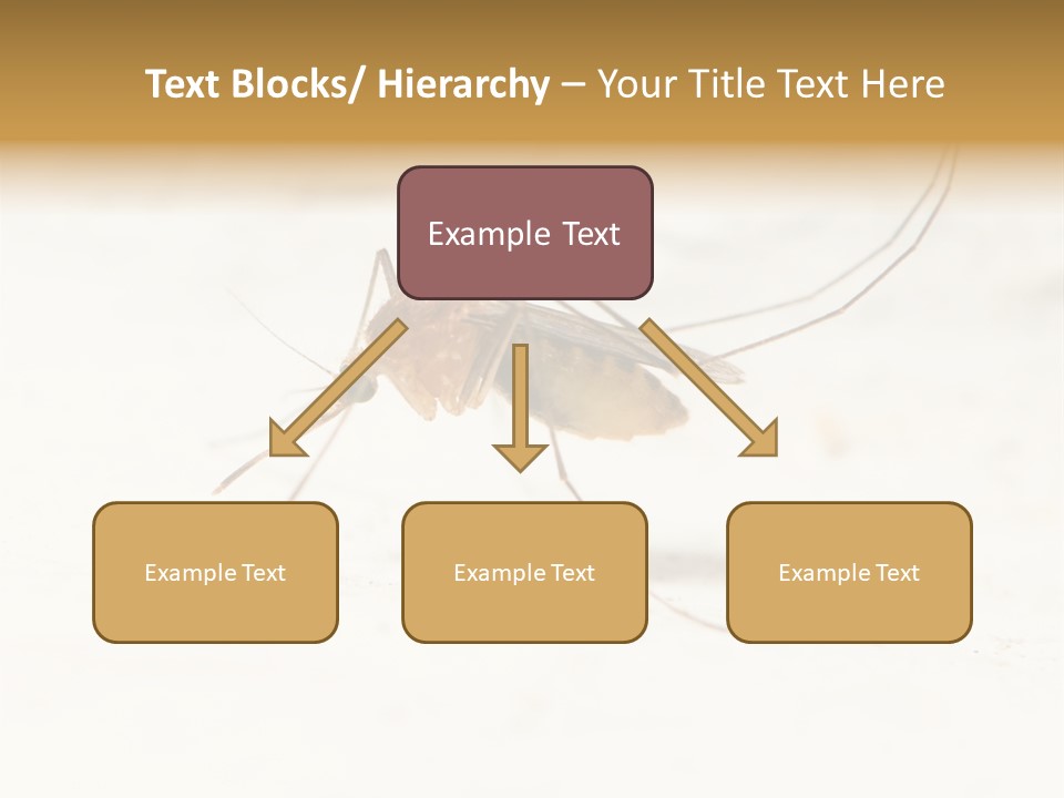 A Mosquito On A White Surface With The Words Name Of Presentation PowerPoint Template