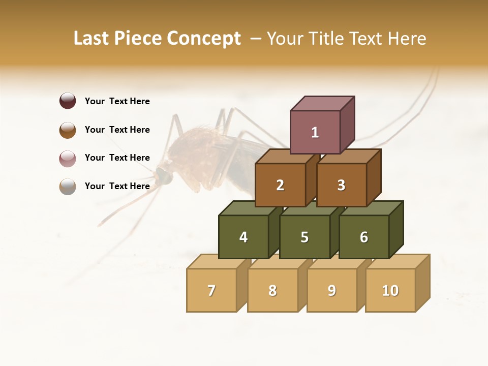 A Mosquito On A White Surface With The Words Name Of Presentation PowerPoint Template