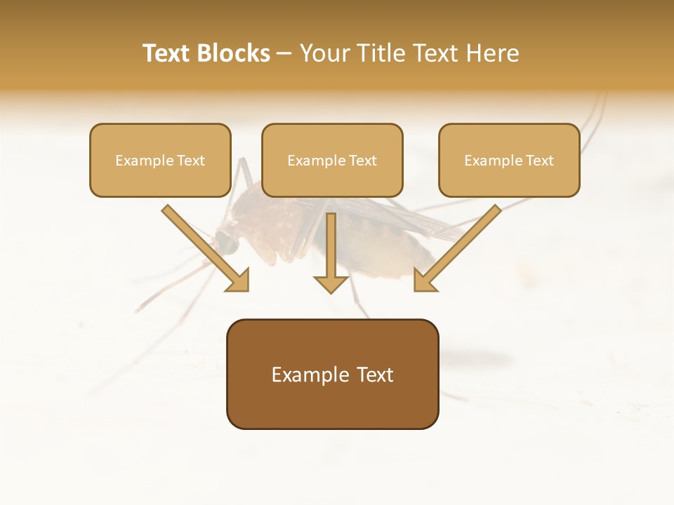 A Mosquito On A White Surface With The Words Name Of Presentation PowerPoint Template