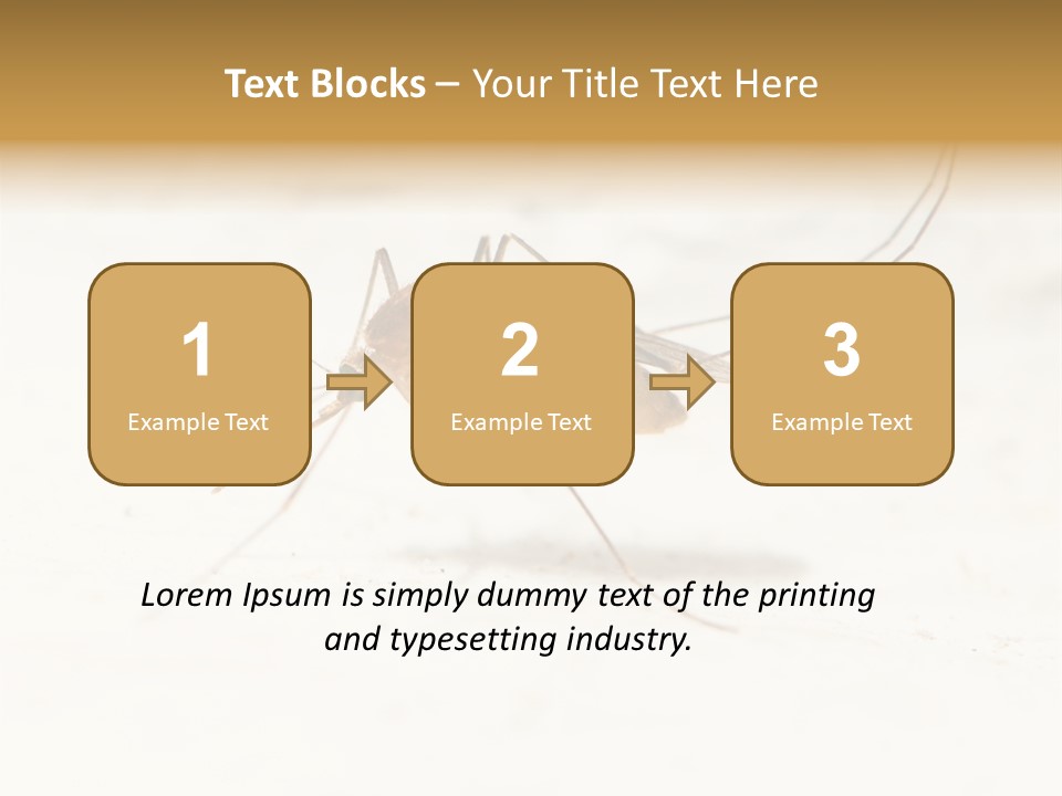 A Mosquito On A White Surface With The Words Name Of Presentation PowerPoint Template