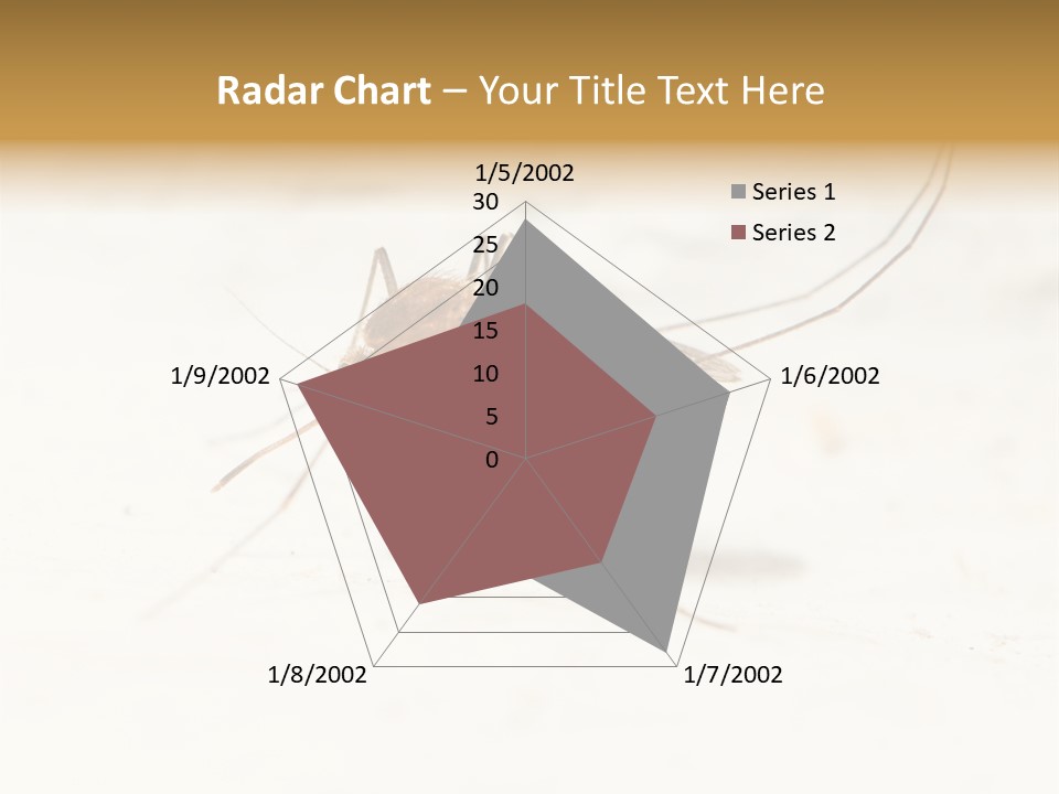 A Mosquito On A White Surface With The Words Name Of Presentation PowerPoint Template