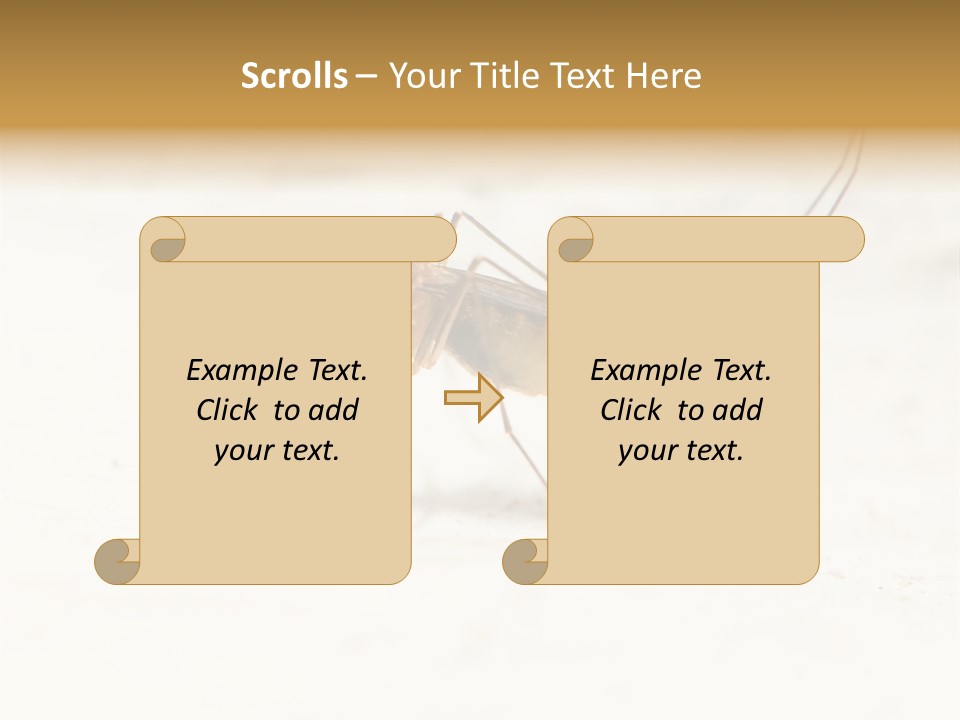 A Mosquito On A White Surface With The Words Name Of Presentation PowerPoint Template
