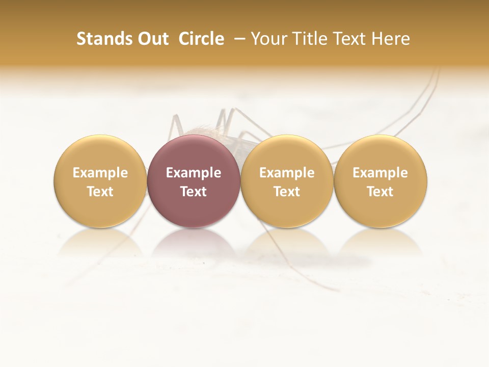 A Mosquito On A White Surface With The Words Name Of Presentation PowerPoint Template