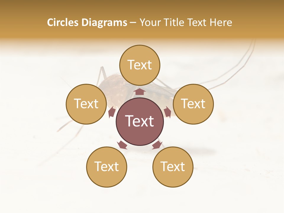 A Mosquito On A White Surface With The Words Name Of Presentation PowerPoint Template