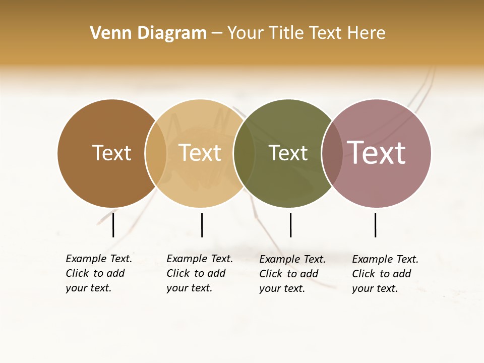 A Mosquito On A White Surface With The Words Name Of Presentation PowerPoint Template