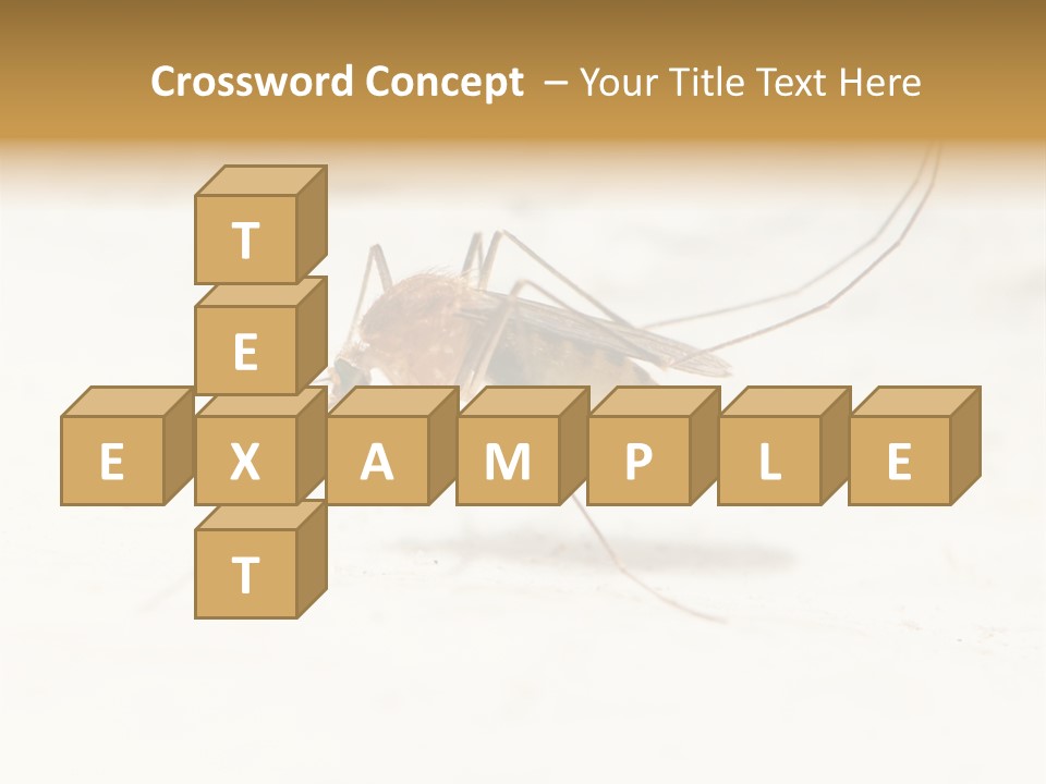 A Mosquito On A White Surface With The Words Name Of Presentation PowerPoint Template