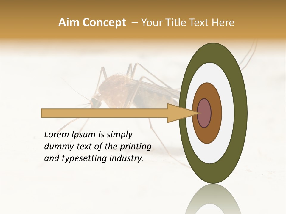A Mosquito On A White Surface With The Words Name Of Presentation PowerPoint Template
