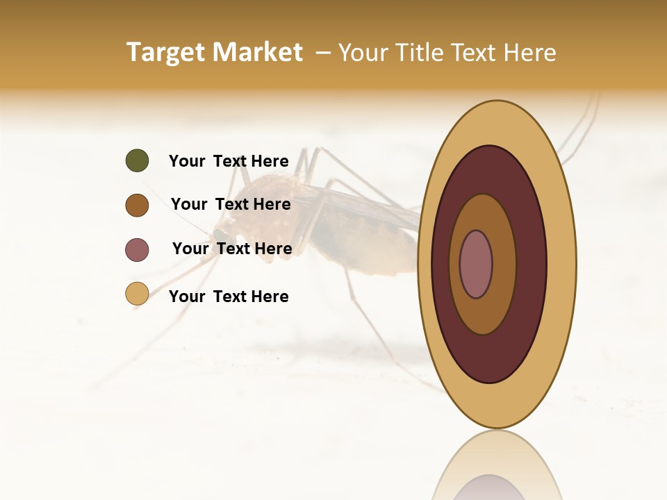 A Mosquito On A White Surface With The Words Name Of Presentation PowerPoint Template